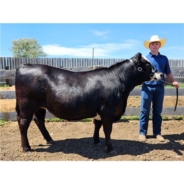 Hoyt  Mahan - Blue Ribbon Market Beef