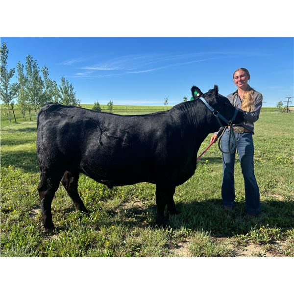 Jayda  Wyse - Blue Ribbon Market Beef