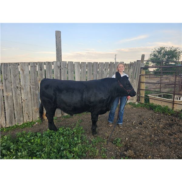 Kimber  Slade - Blue Ribbon Market Beef
