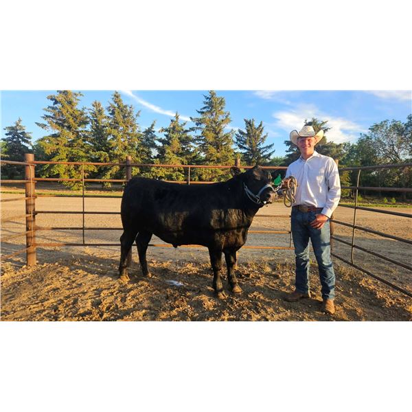 Regan  Stuart - Red Ribbon Market Beef
