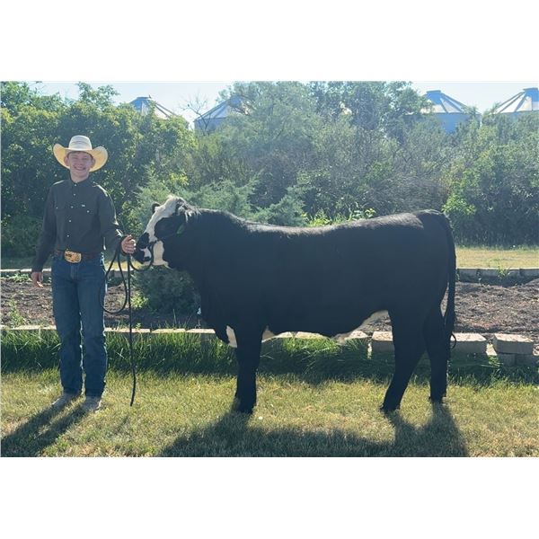 Traxton  Simanton  - Red Ribbon Market Beef