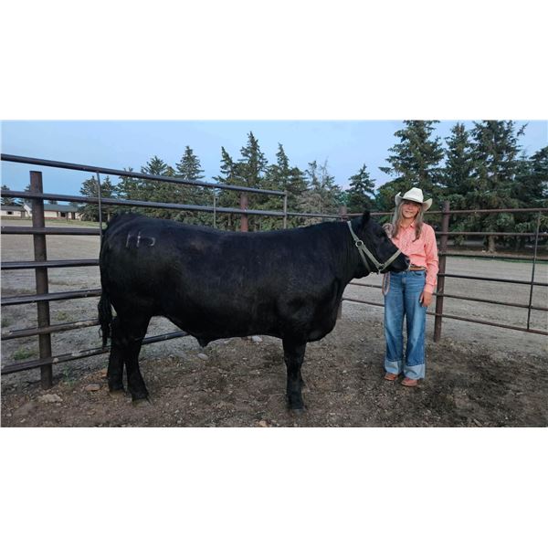 Tenley  Lien  - Red Ribbon Market Beef