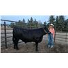 Image 1 : Tenley  Lien  - Red Ribbon Market Beef