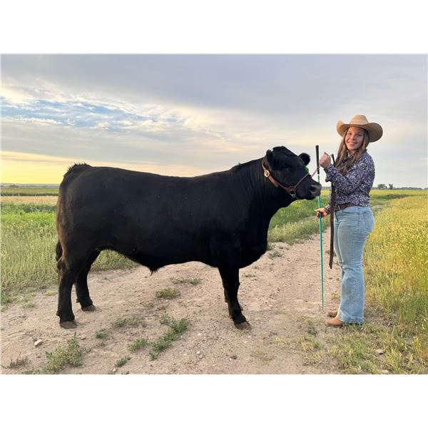 Renzey Raymond - Red Ribbon Market Beef