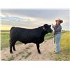 Image 1 : Renzey Raymond - Red Ribbon Market Beef