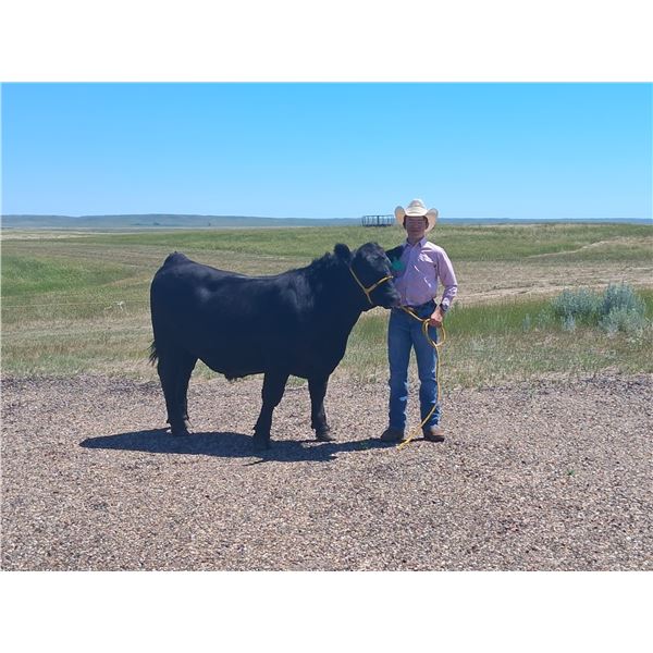 Emmett Skubinna - Red Ribbon Market Beef