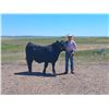 Image 1 : Emmett Skubinna - Red Ribbon Market Beef