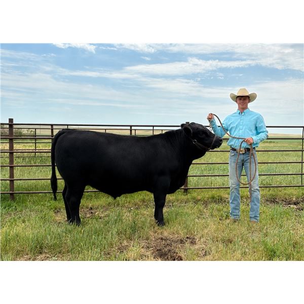 Dawson  Hammond  - Red Ribbon Market Beef