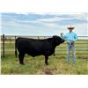 Image 1 : Dawson  Hammond  - Red Ribbon Market Beef