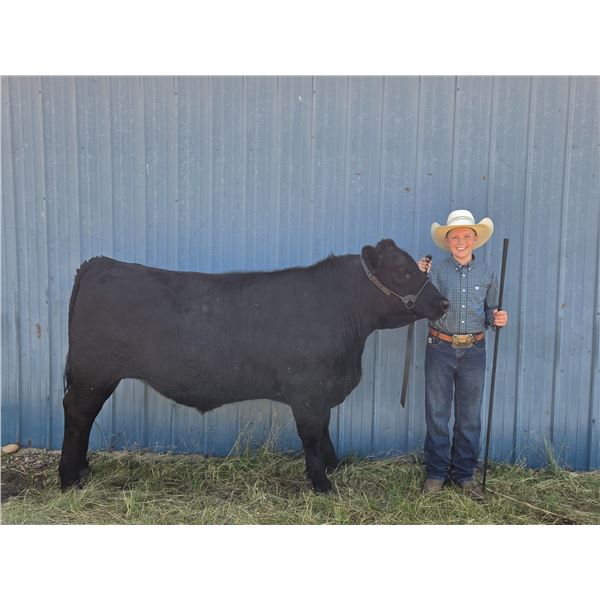 Cooper Pankratz  - Red Ribbon Market Beef