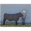 Image 1 : Cooper Pankratz  - Red Ribbon Market Beef