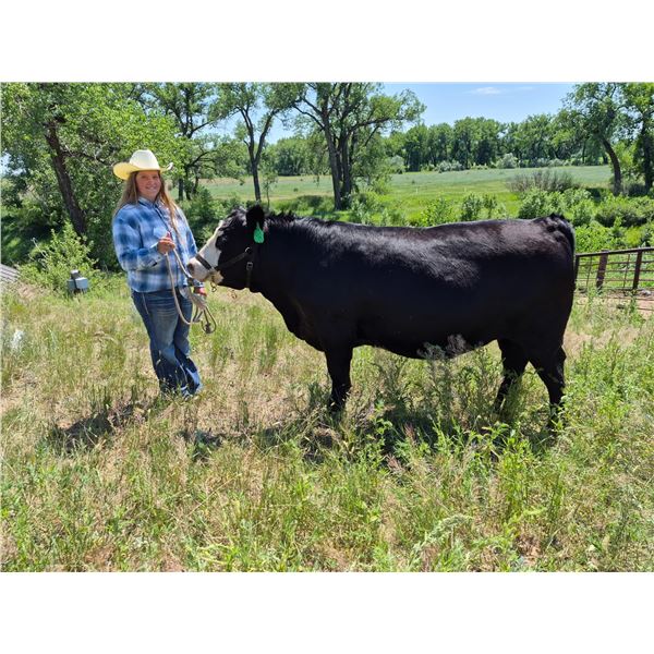 Mackenzie  Witmer  - Red Ribbon Market Beef