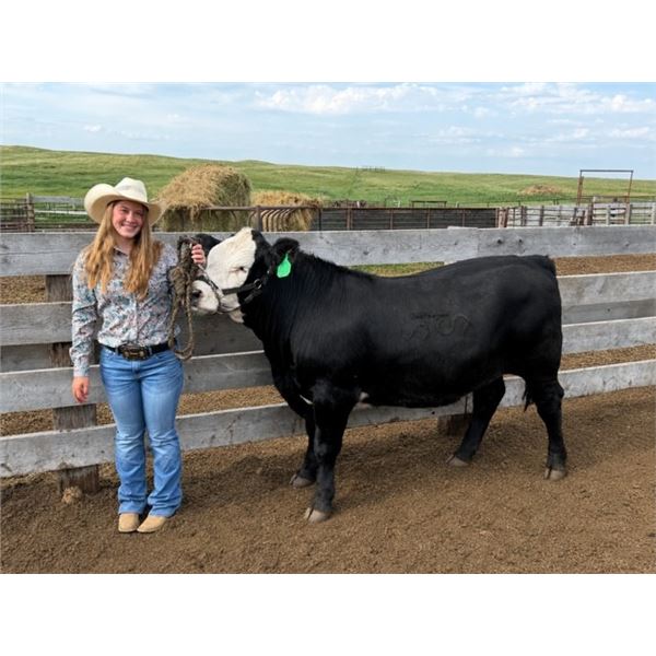 Kennedy  Simonson - Red Ribbon Market Beef