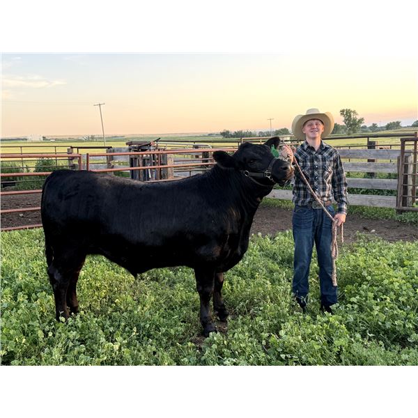 Trent Blunt - Red Ribbon Market Beef