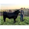Image 1 : Trent Blunt - Red Ribbon Market Beef