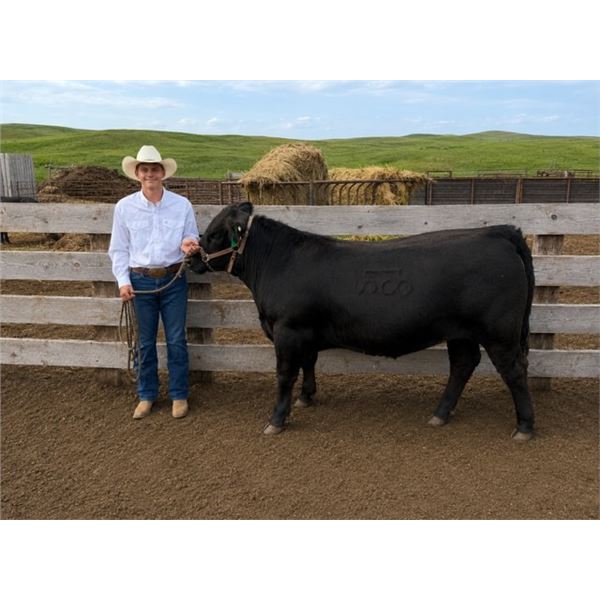 Samuel  Simonson - Red Ribbon Market Beef