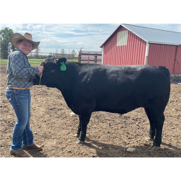 Everett  Blunt - Red Ribbon Market Beef