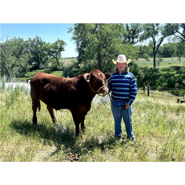 Finn  Witmer  - Red Ribbon Market Beef