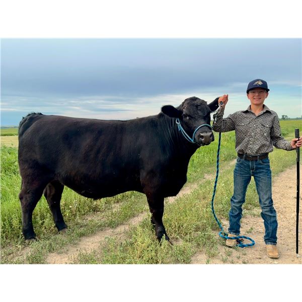 Beckett  Young - Blue Ribbon Market Beef