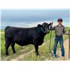 Image 1 : Beckett  Young - Blue Ribbon Market Beef