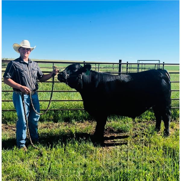 Kenan  LaBrie - Red Ribbon Market Beef