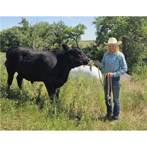 Kesi  Salveson - Red Ribbon Market Beef