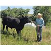 Image 1 : Kesi  Salveson - Red Ribbon Market Beef