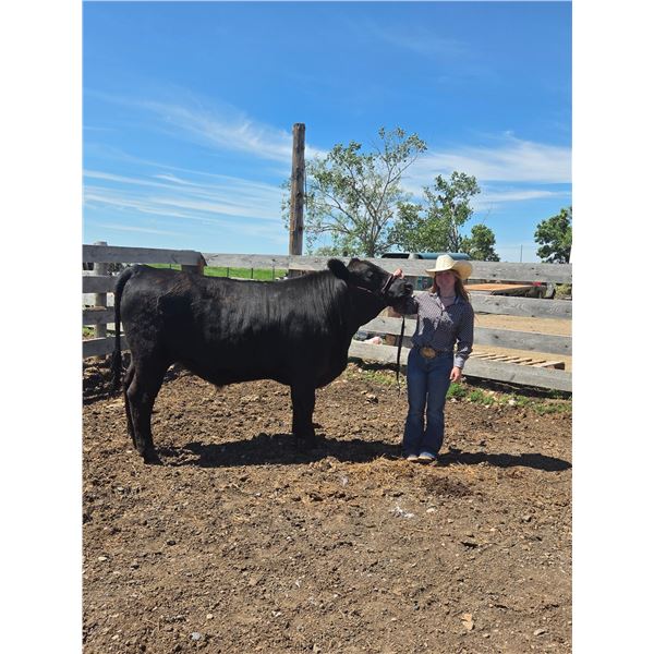 Addison  Benson - Red Ribbon Market Beef