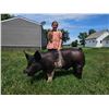 Image 1 : Kambyr Boardman - Blue Ribbon Market Swine