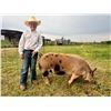 Image 1 : Zander Young - Blue Ribbon Market Swine
