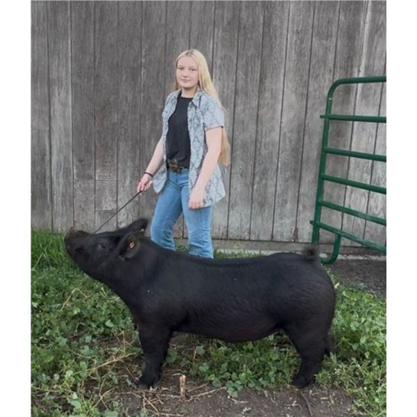 Kayla Ottinger - Reserve Champion Market Swine