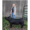 Image 1 : Kayla Ottinger - Reserve Champion Market Swine