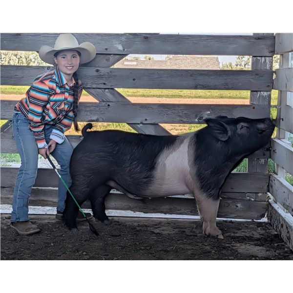 Adalynn Math - Blue Ribbon Market Swine