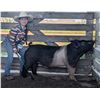 Image 1 : Adalynn Math - Blue Ribbon Market Swine