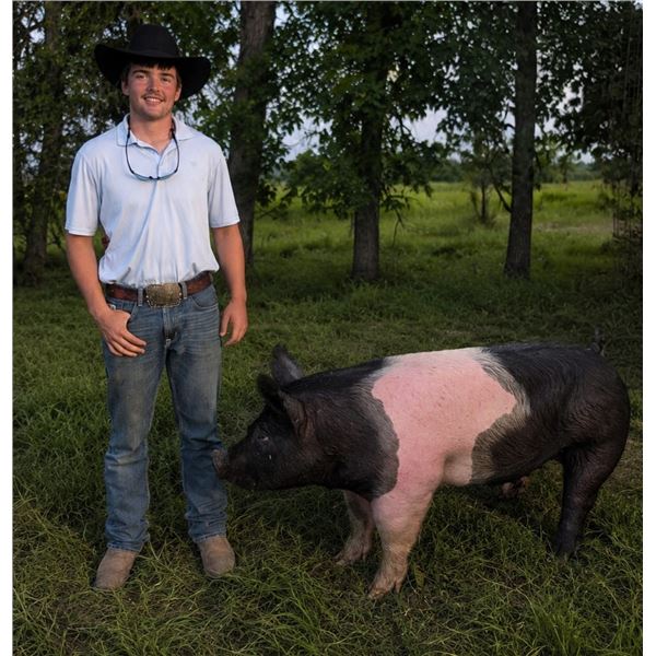 Kayden Green - Blue Ribbon Market Swine