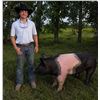 Image 1 : Kayden Green - Blue Ribbon Market Swine