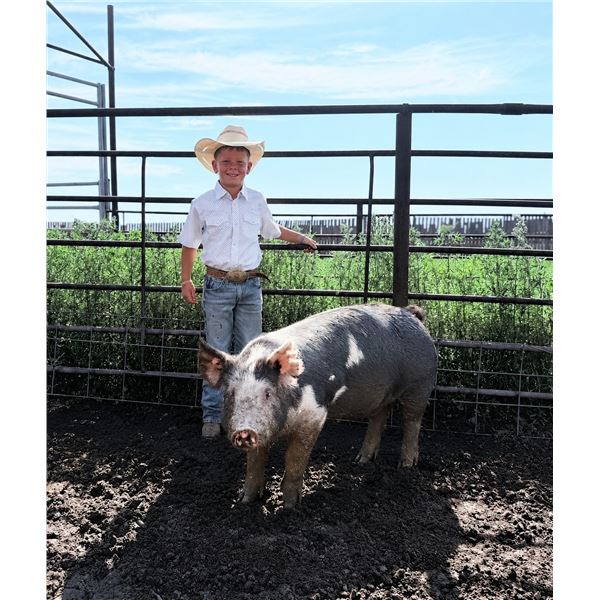 Chet Hammond - Grand Champion Market Swine