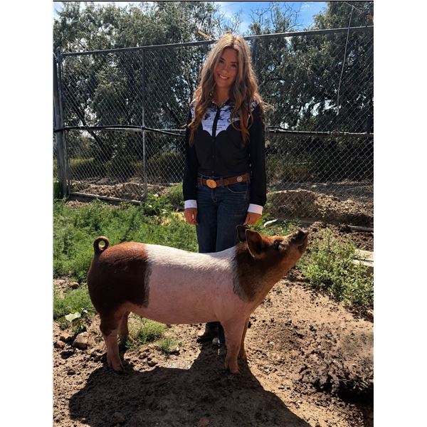 Emma Ereaux - Red Ribbon Market Swine