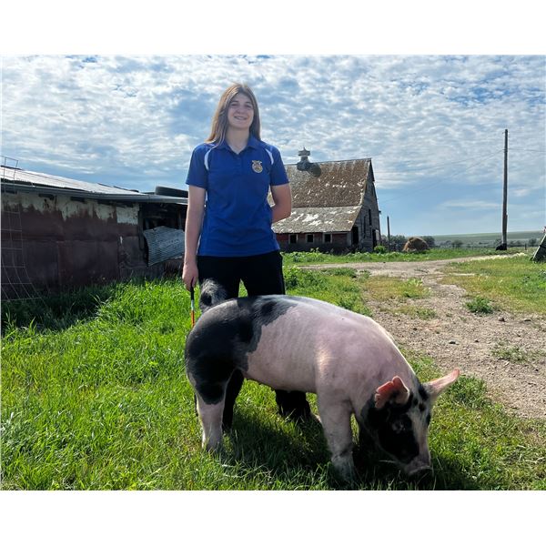 Kallie LaBrie - Red Ribbon Market Swine