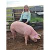 Image 1 : Izzy Waters - Red Ribbon Market Swine