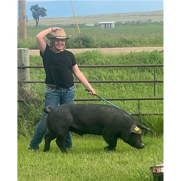 Rosemary Green - Red Ribbon Market Swine