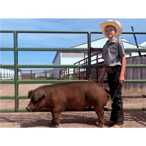 Ryett Anderson - Red Ribbon Market Swine