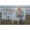 Image 1 : Gracie Phipps - Goat