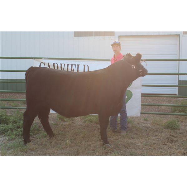 Anthony Murnion - Market Beef