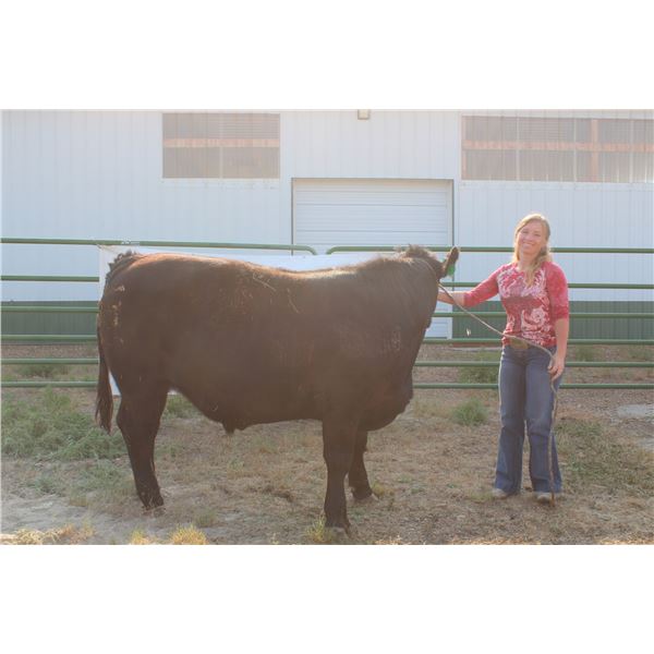 Kateri Stroh - Market Beef