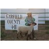 Image 1 : Reese Witt - Market Lamb