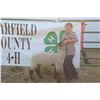 Image 1 : Teagan Phipps - Market Lamb