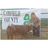 Image 1 : Teagan Phipps - Swine