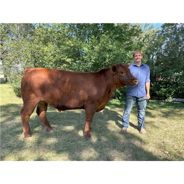 Ryder Zanto - Market Beef