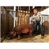 Image 1 : Austin Heppner - Market Swine